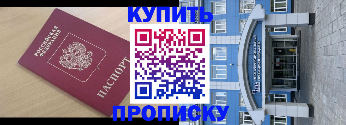 прописка поиск в Королёве